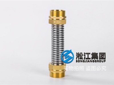 铜头DN50金属软管